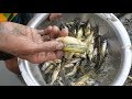 Fishing / Catching Huge Tiny Fish / New System Of Catching Fish From Water Flow / Village Fishing