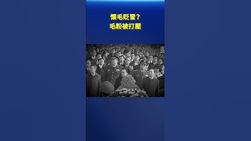 懷毛貶習？毛粉被打壓｜ #新唐人電視台