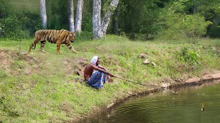 बघ हमल कहन Tiger Attack Stories Crazy Life Stories