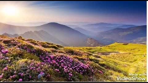 ما تيسر من سورة الروم بصوت الشيخ ابو خديجة