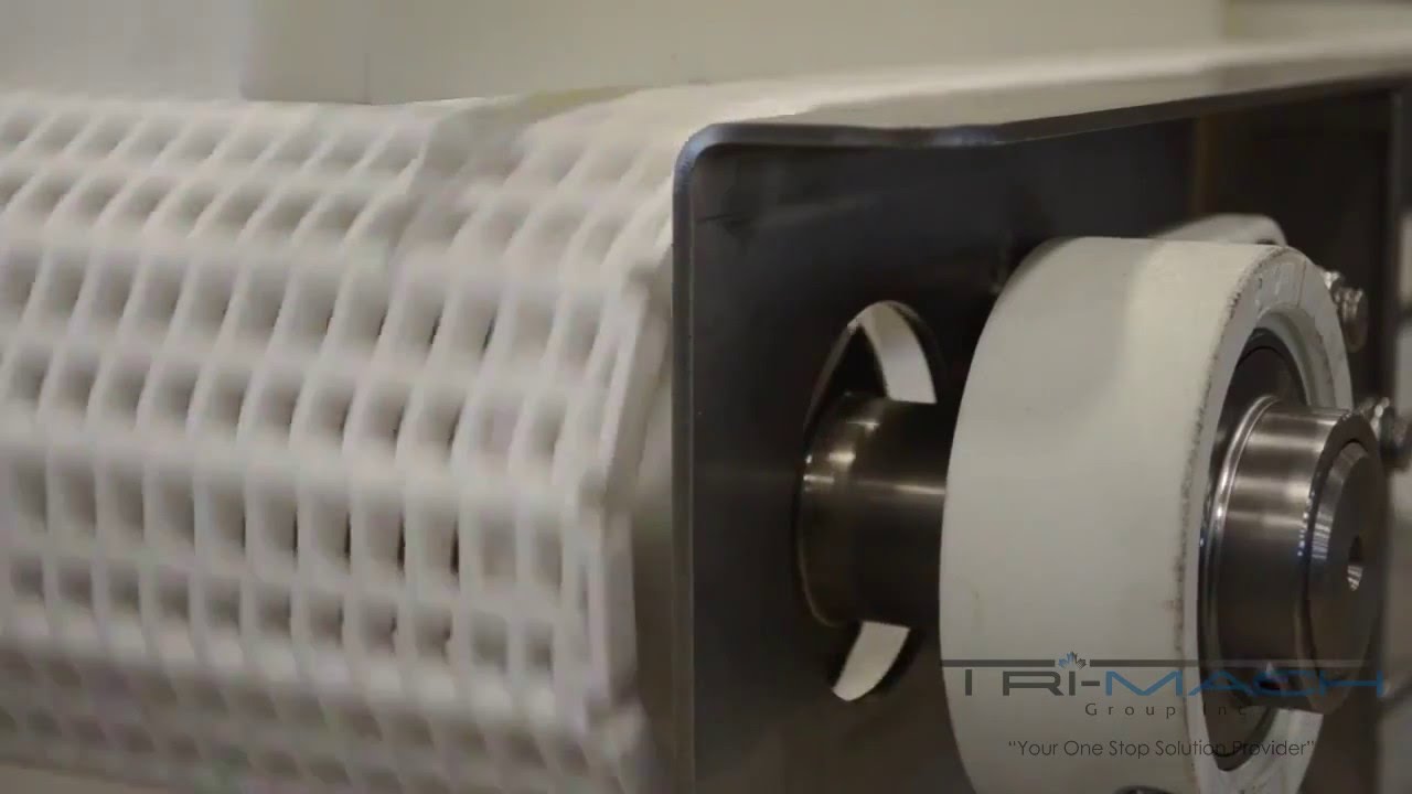 Ever Kleen® Tray Transfer Conveyor with Passive Alignment Solution