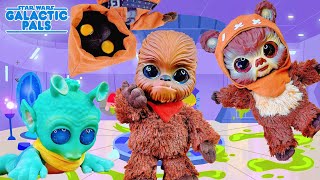 The top 20 wookie baby toys