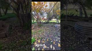 Garden Make Over Before & After Photos, Courtyard #backyardoasis #gardendesign