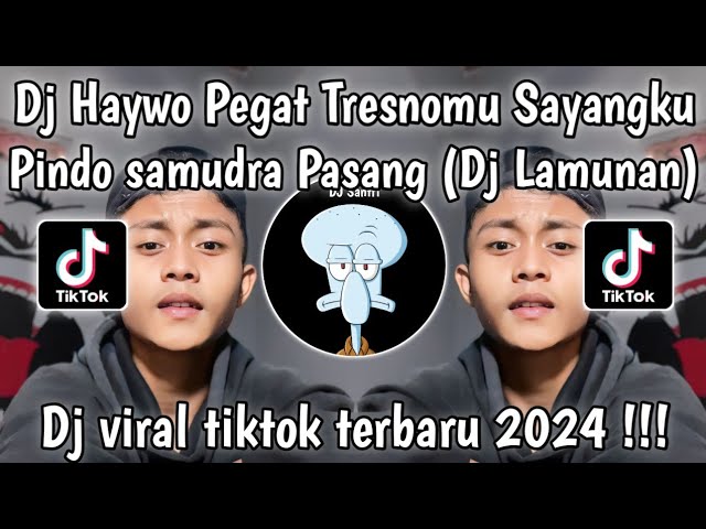 DJ HAYWO PEGAT TRESNOMU VIRAL TIKTOK - LAMUNAN ESA RISTY | PINDHO SAMUDRA PASANG KANG TANPO WANGENAN class=