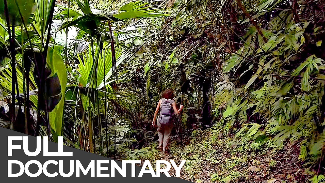 Amazing Quest: Stories from Costa Rica | Somewhere on Earth: Costa Rica | Free Documentary