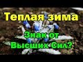 Теплая зима. Знак от Высших Сил?