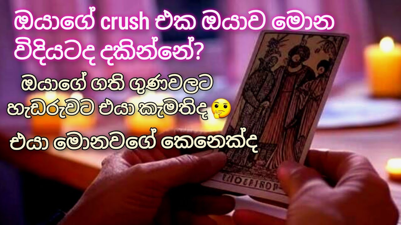 දුරින් ඔයාව දකින ඔයාගෙ crush එක ඔයාව මොන විදියටද දකින්නේ? එයා මොනවගේ කෙනෙක්ද 🤔 love reading tarot 