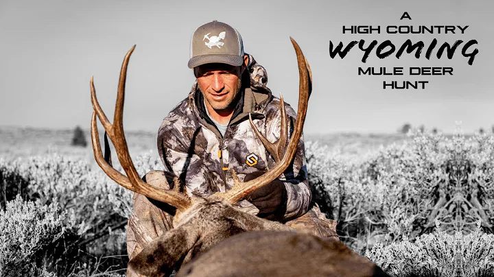 A High Country Wyoming Mule Deer Hunt!
