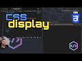 What does the CSS display property do?
