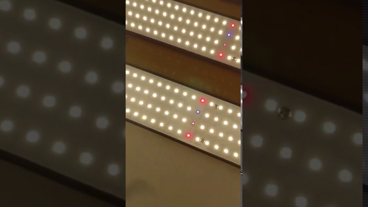 ECO Farm 960W V4 Series With Samsung 301B/301H Chips Full Spectrum LED Light Strips