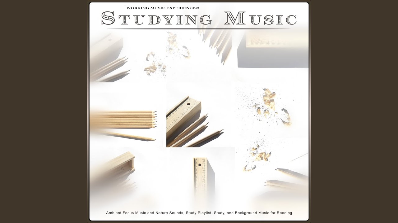 Ambient Focus Music and Nature Sounds