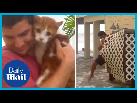 Hurricane ian heroes rescue animals and neighbours amid tropical storm