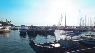 Frigelar Em Salvador C Frigelar