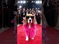 Ramp show #style #fasion#trending