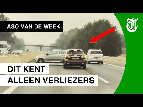 Video: De Regio Vladimir Wordt Al Jaren Geterroriseerd Door Gemuteerde Honden - Alternatieve Mening