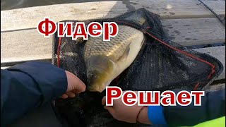 Щука И Карп Рвут Шнуры