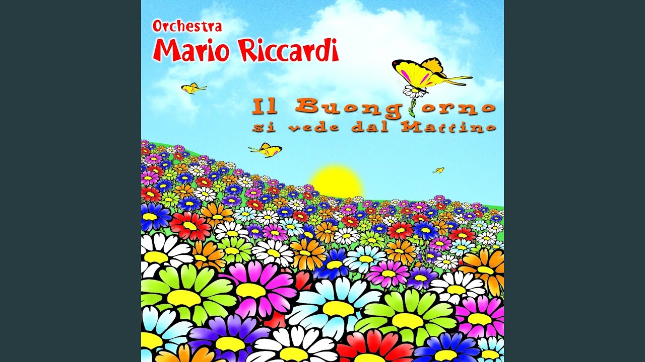 Rumba d'amor
