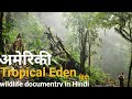 A tropical eden     american wildlife documentry in hindi
