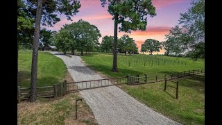Texas Vineyard, Winery, Recreational Ranch, Hunting Ranch in gorgeous East Texas!