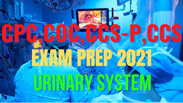 CPC, COC, CCS, CCS-P EXAM PREP 2021 - URINARY SYSTEM