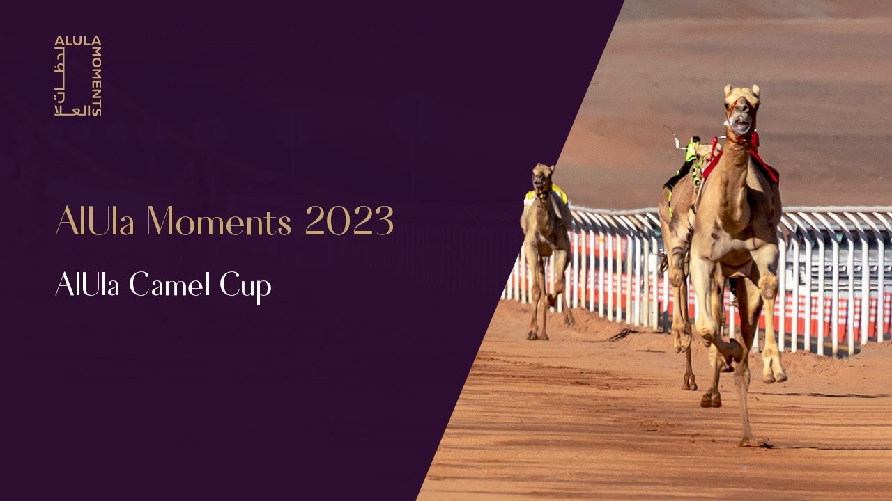 AlUla Camel Cup - YouTube
