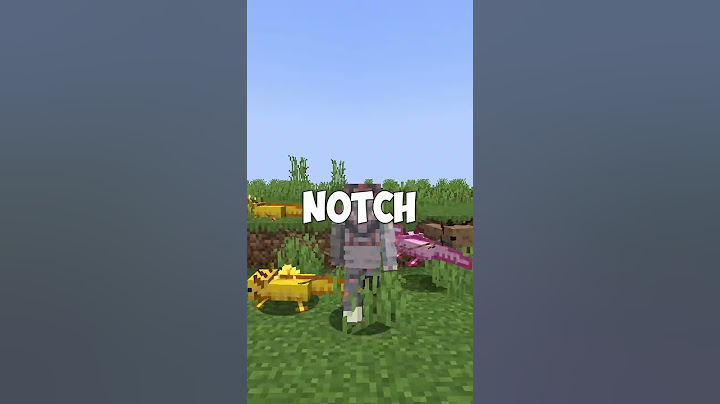 notch made a new game