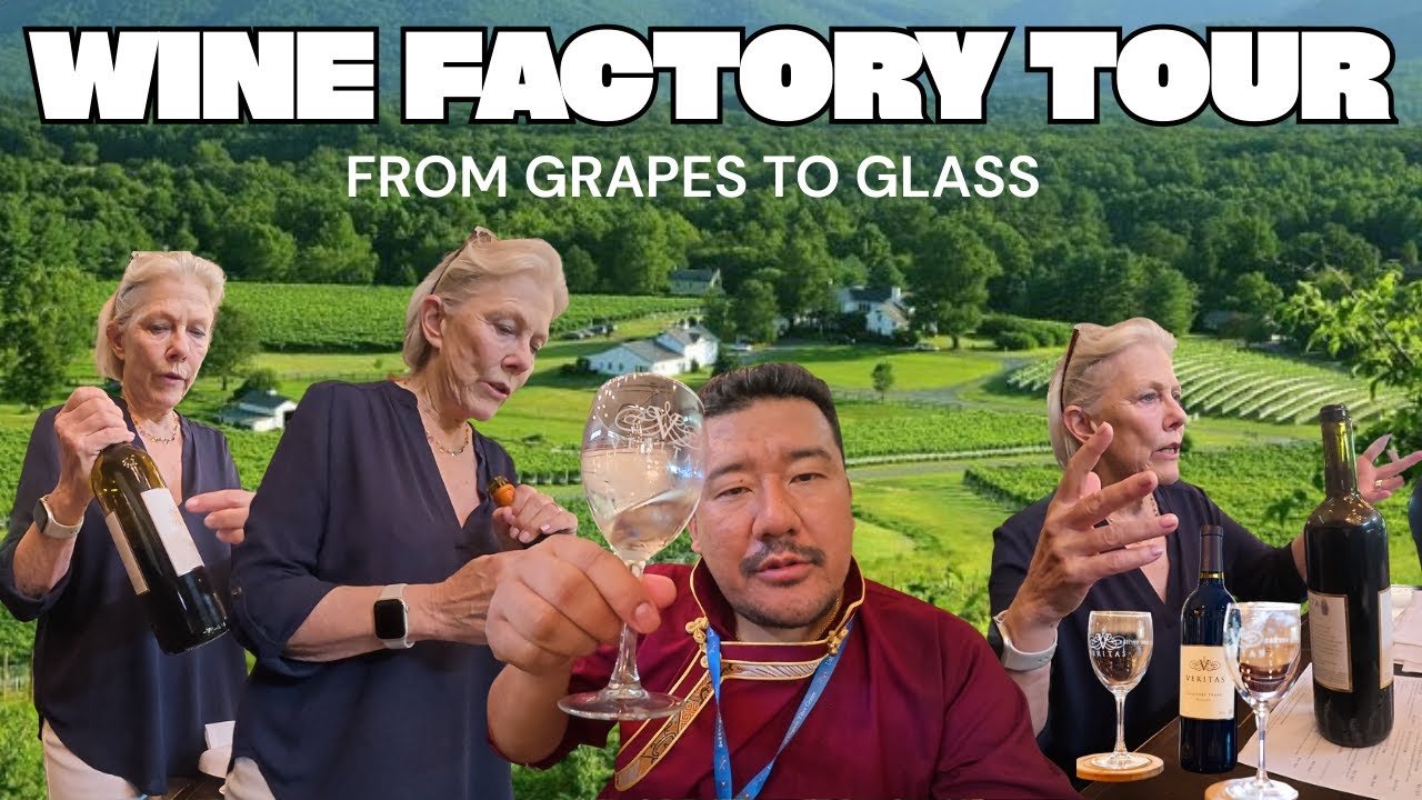 WINE FACTORY TOUR || TESTING DIFFERENT WINE || WINERY || TIBETAN VLOGGER 2025