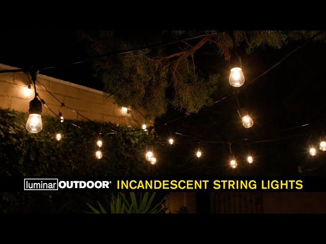 Luminar 24 Ft. 12 Bulb Outdoor Incandescent String Lights 