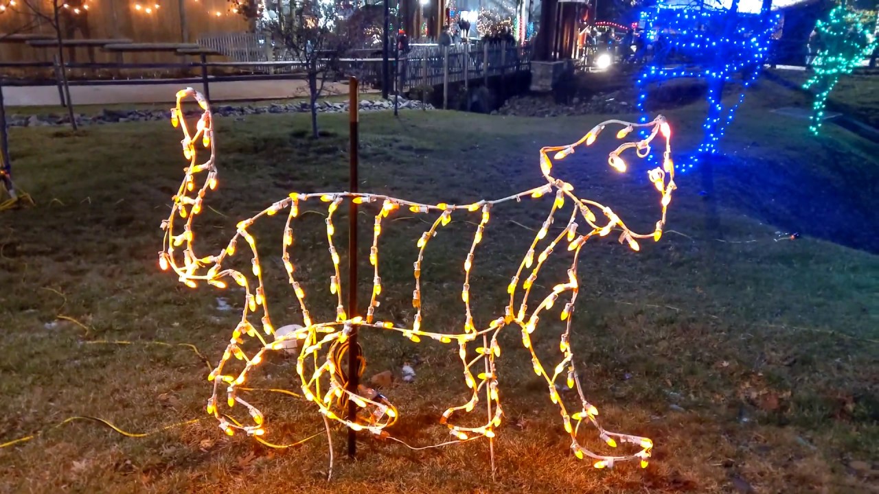 Turtle Back Zoo Holiday Lights December 23 2019 YouTube turtle-back-zoo-holiday-lights-december-23-2019-youtube