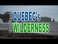 Wildlife Wilderness In Quebec 2025 07 10 Wildlife Wilderness In Quebec 2025 07 10