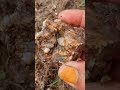 Finding Precious Agate Gemstone At Mountain [part 22] #crystals #mining #find #gemstone
