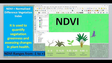 Calculate NDVI using QGIS and Landsat 8 Images