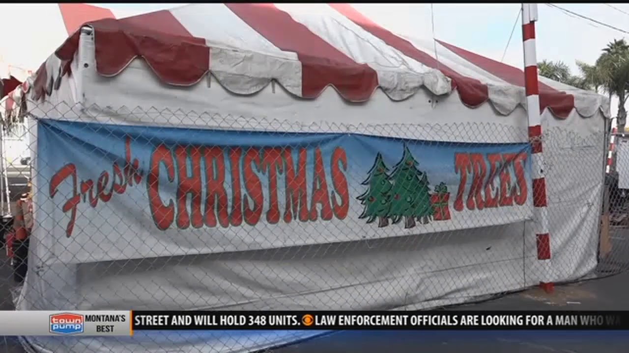 New locations for Christmas tree recycling in Bozeman YouTube