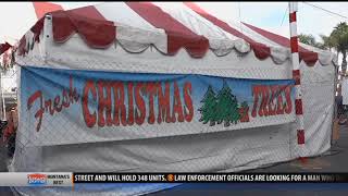 New locations for Christmas tree recycling in Bozeman