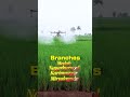 Multiple New Branches Opened for X8 Drone Sales💥Grand Opening Offers on X8 Agriculture Drones🔥