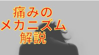 痛みのメカニズム　痛みの原因は・・・あれだった　新人理学療法士必見