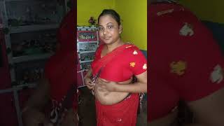 Saree Wearing Videos Vlogs