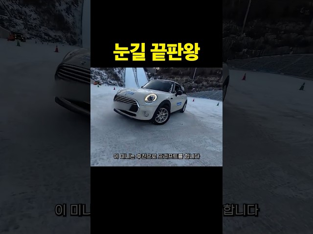 눈길 끝판왕
