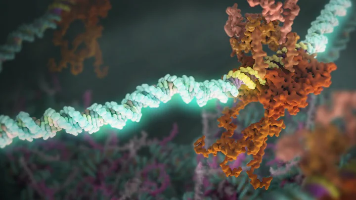 The Role of p53 in Cancer