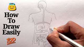 How to draw Human Digestive system step by step for beginners !
