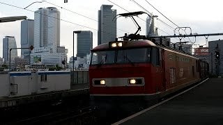 2017/05/23 JR Freight with EF510-19 at Sasashima-Raibu