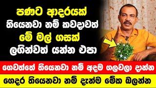 පණට ආදරයක් තියෙනවා නම් කවදාවත් මේ මල් ගසක් ලගින්වත් යන්න එපා | ගෙවත්තේ තියෙනවා නම් අදම ගලවලා දාන්න