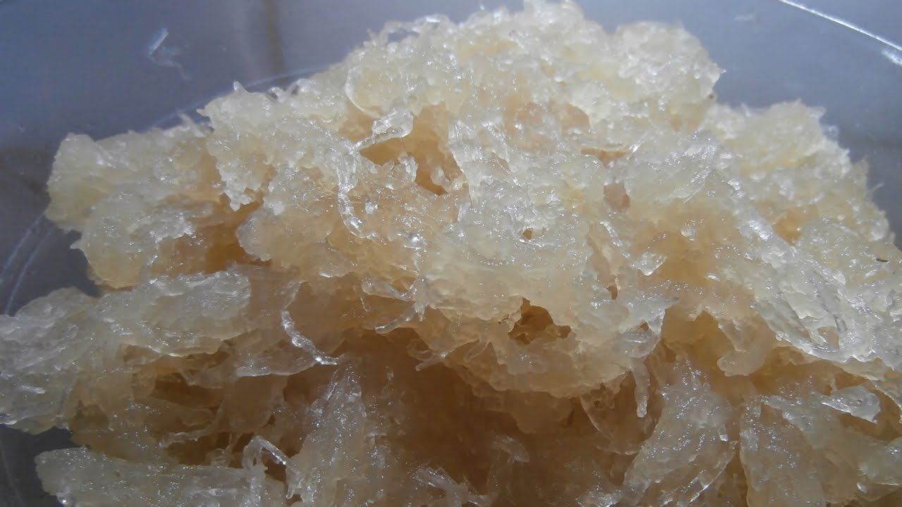 Cabello de ángel casero ó alcayota..