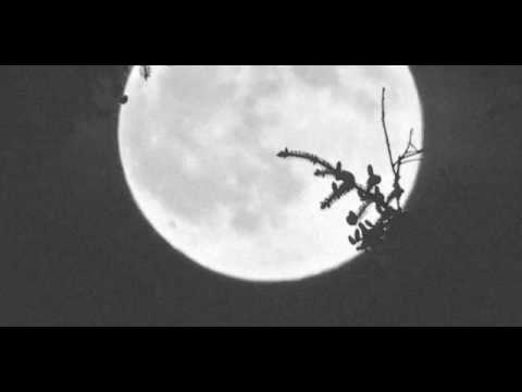 Dwimorberg - Ritual Under the Harvest Moon (2016)