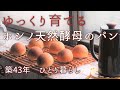 ホシノ天然酵母で丸パンの作り方／おかずとパンを同時焼き／焦る気持ちを整える【古いお家で手作り暮らし】How to Make Natural Yeast Bread