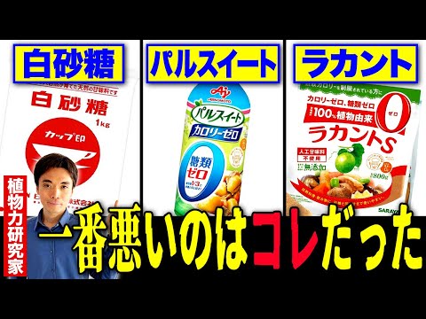 【実話】砂糖VS人工甘味料、本当に体に悪いのは？
