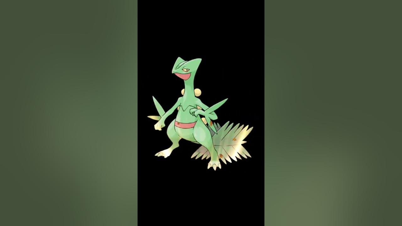Pokemon キモリ進化系統 Youtube