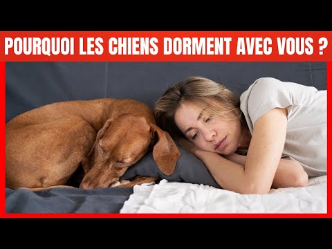 Vidéo: Devez-vous laisser votre chien dormir au lit avec vous?