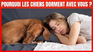 Pourquoi votre Chien dortil avec vous ? 7 raisons que vous allez adorer !