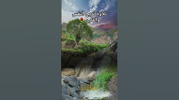 روائع التلاوة للشيخ محمد الفقيه من اليمن 🇾🇪#انشروا_القران #اكتب_شي_توجر_عليه